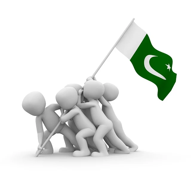 Pakistani Flag